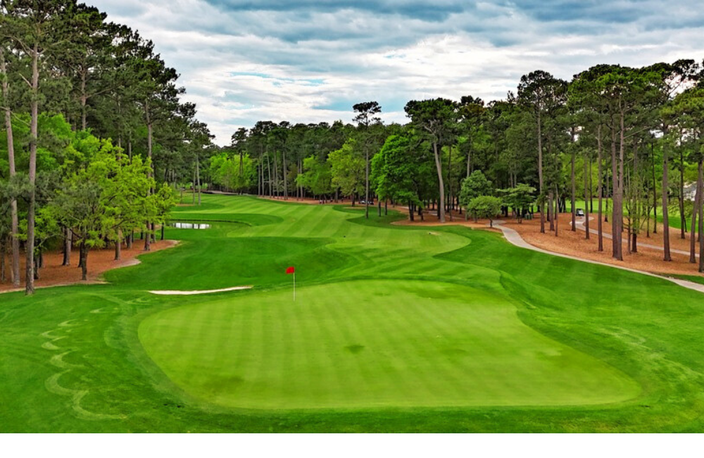 Guest Reward: https://gardencityrealty.icnd-cdn.com/images/guestrewards/TPC of Myrtle Beach 01.png